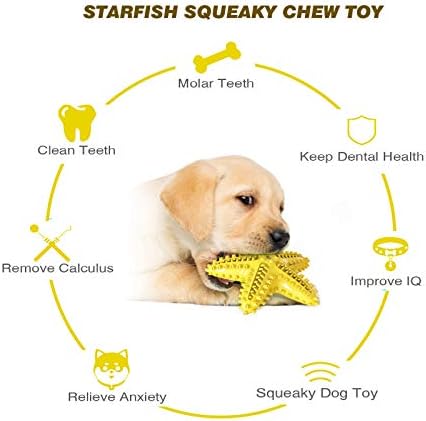 צעצועי כלב כלבים של אליל אילוף צעצועים כלבים צועקים מים כלבים צעצועים צפים כוכבי כוכב שיניים טבעיים