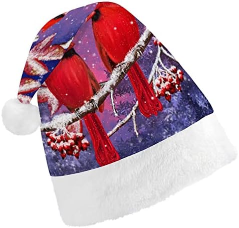 אדום קרדינל ציפור יושב על סניפים מושלגים חג המולד כובע סנטה כובע מצחיק חג המולד כובעי חג מסיבת כובעי