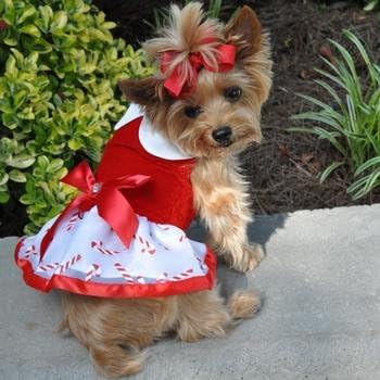 שמלת רתמת כלבים לעיצוב כלבים - קני ממתקים