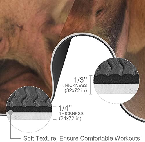 שומן חזירים שוכב על פארמיוגה מחצלת ארוך 72 על 24 אינץ 6 ממ לעבות כושר תרגיל עם יוגה רצועה