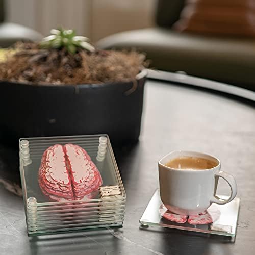 חופי דגימות מוח אנטומיים - מתנות למדעי המוח המתנות הטובות ביותר למתנות לסטודנטים לרפואה עיצוב מוח מתנות